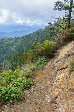 Mt. LeConte